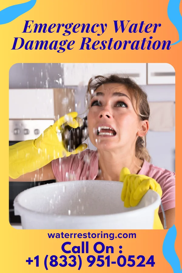 Emergency Water Damage Restoration in Laguna Vista, TX